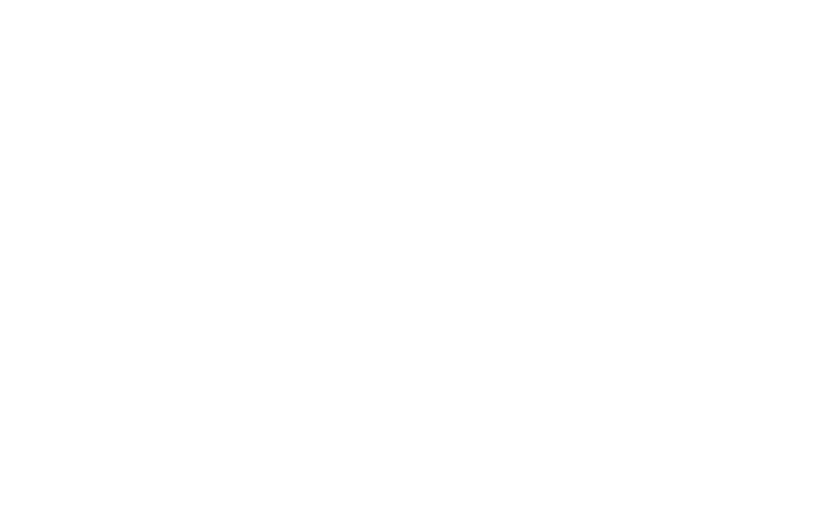 Memotrue